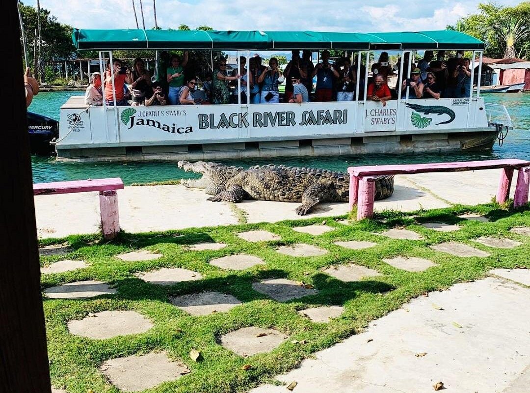 black-river-safari
